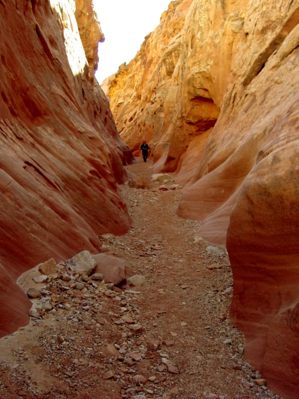 04160302LittleWildHorse (1106)